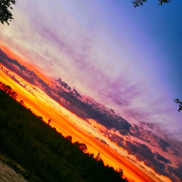 Meet your Posher, Sayde - Picture 1 of 1